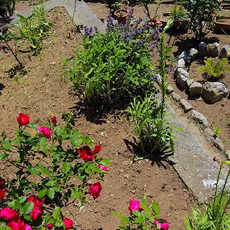 Matilde Appartement Amalfi
