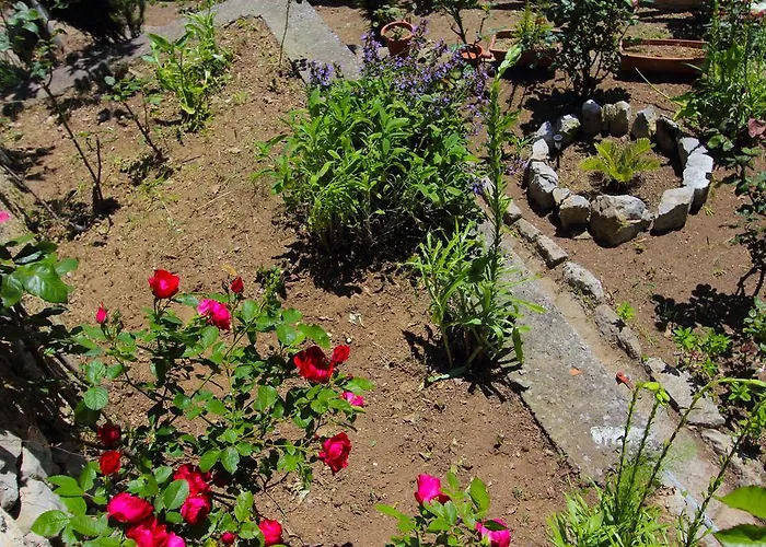 阿马尔菲马迪尔德别墅酒店 公寓 阿马尔菲